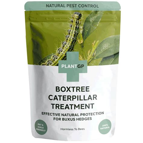 treatment for box moth caterpillar